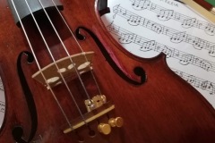 IL MIO AMATO VIOLINO
